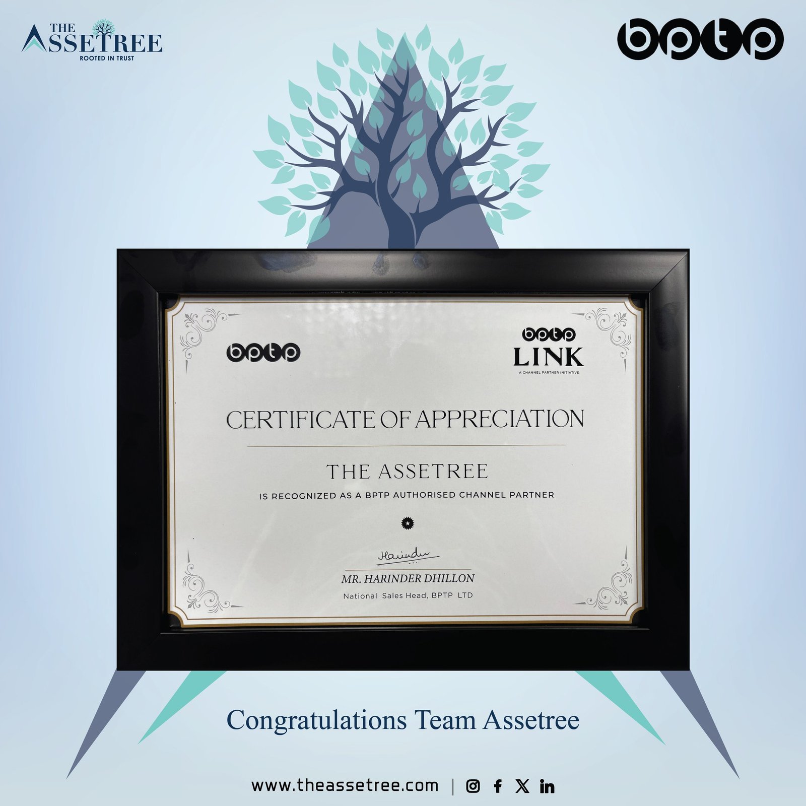 award8.jpg